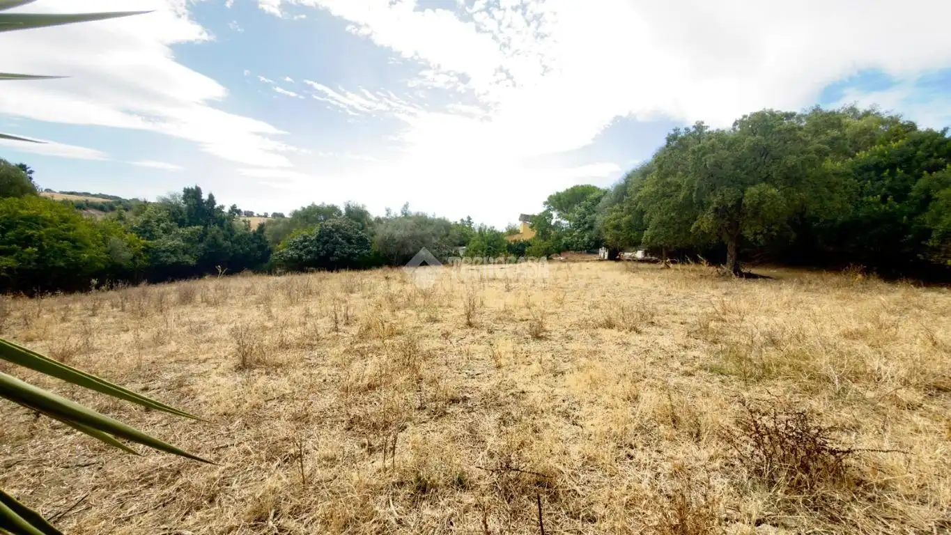 Maison rustique à vendre à Jimena de la Frontera, imagen 24