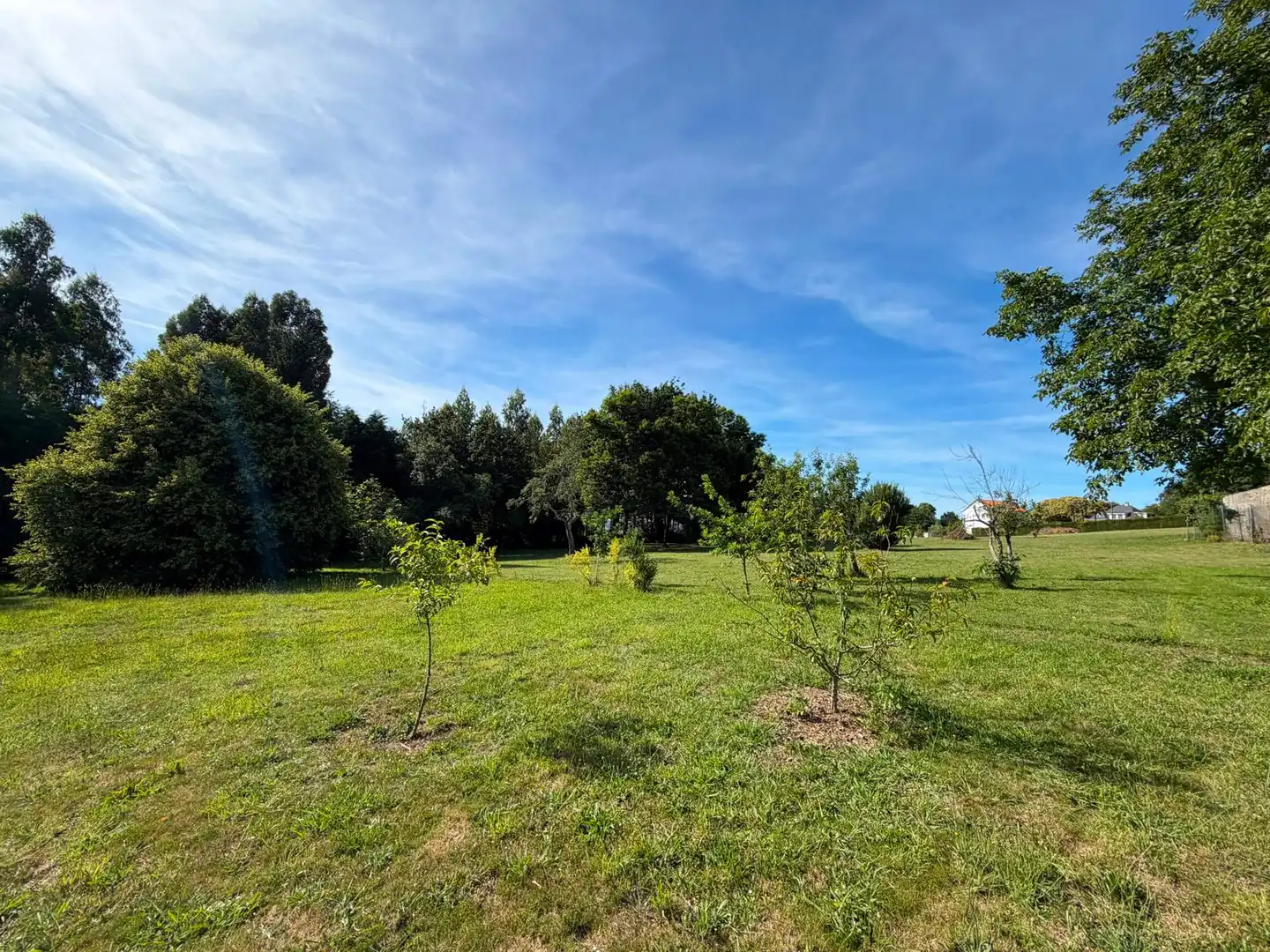 Land for sale in Fene