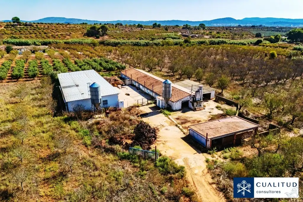 Terreny rústic en venda a Vall d'Alba, imagen 6