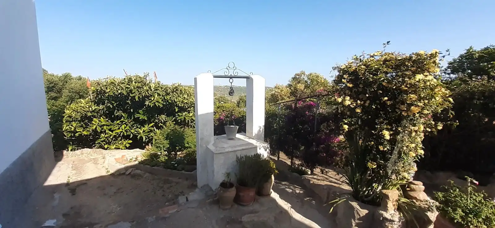 House with garden for sale in Camino Real, imagen 3