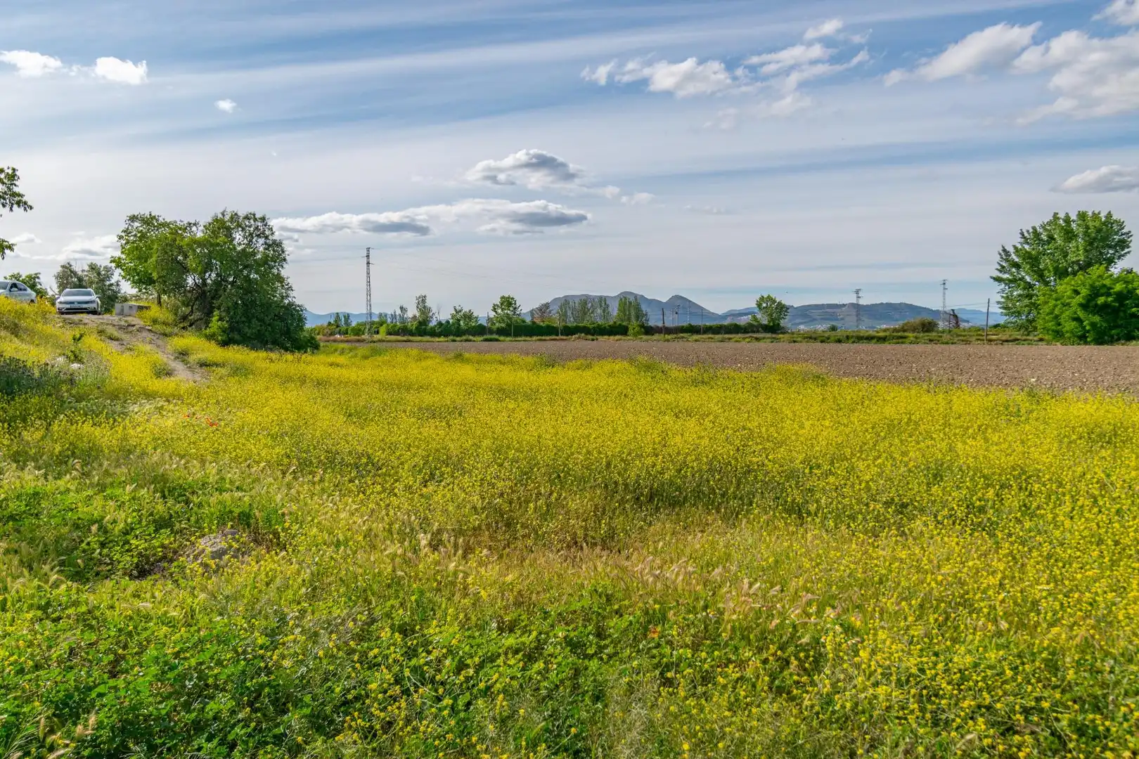 Lands and plots for sale in Polígono 9 Parcela 307 MARACHAT. GRANADA (GRANADA, imagen 22