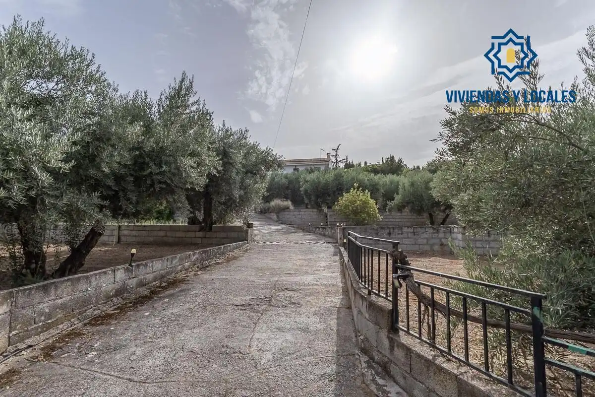 Xalet amb piscina en venda a Aljomahima - Ermita, imagen 48