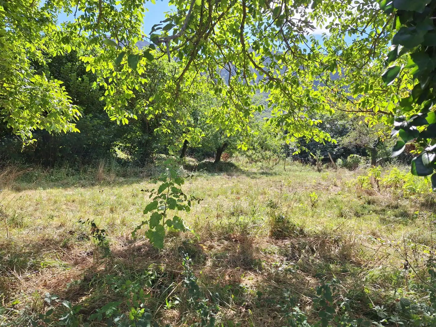 Terreni e lotti in vendita a siones, imagen 6