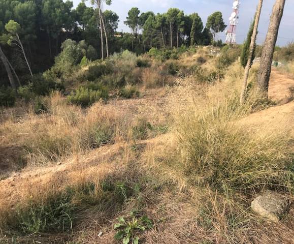 Terreno residencial en Venta en Calle B Cerdera Alta en La Cerdera