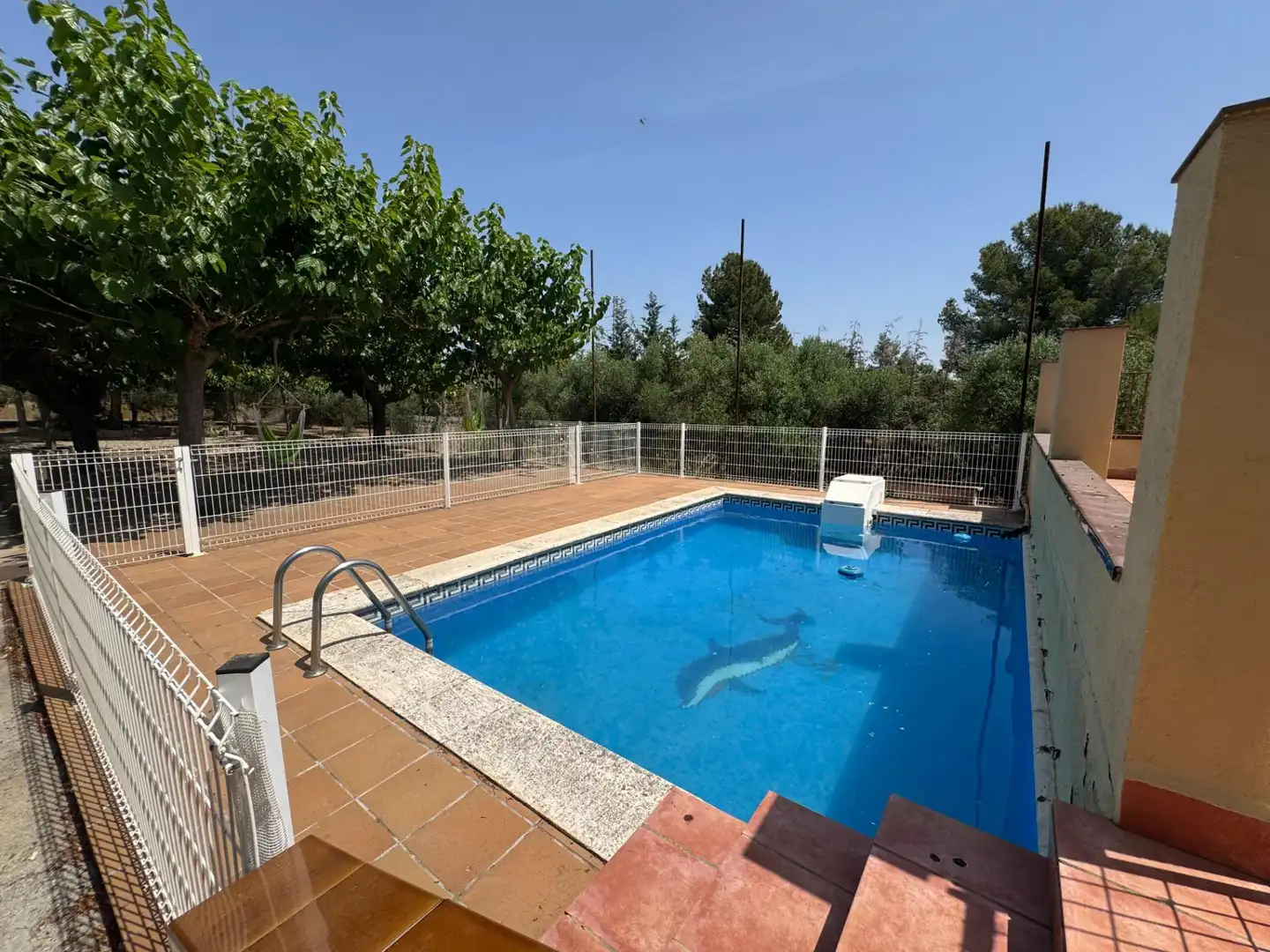 Piscina de Finca rústica en venda en Banyeres del Penedès amb Calefacció, Jardí privat i Terrassa