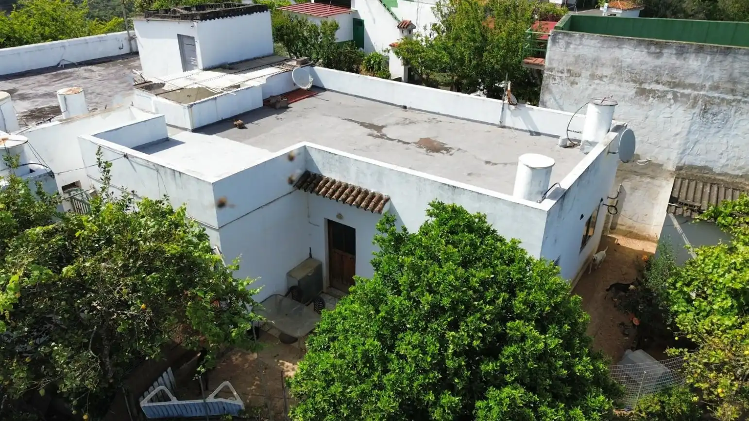 Vista exterior de Casa o chalet en venta en Teror con Jardín privado