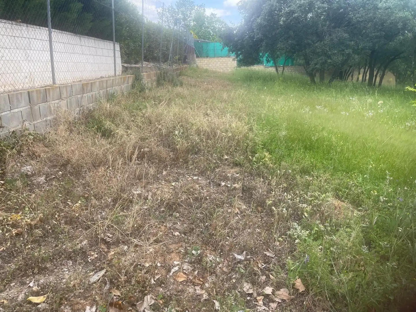 Terrain résidentiel à vendre à Calle ALAMO, imagen 8
