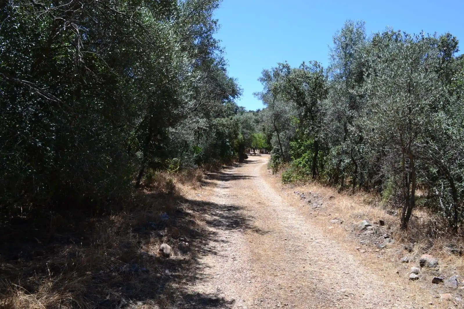 Finca rústica en venda a Belvís de la Jara