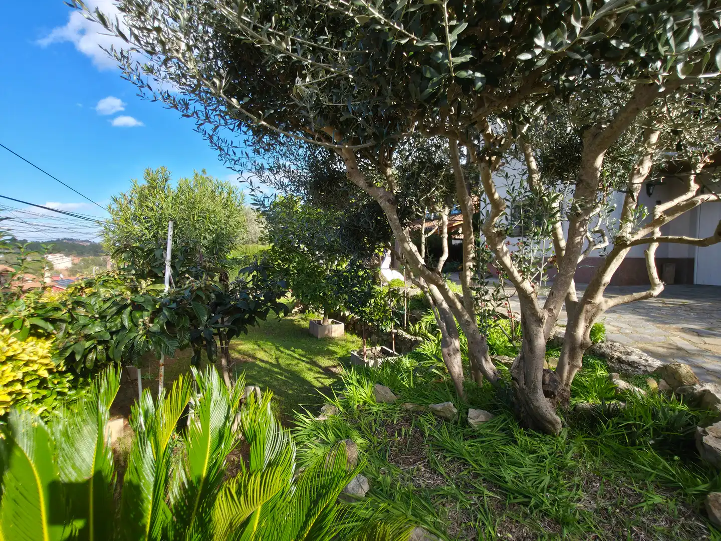 Maison avec terrasse à vendre à Corbera de Llobregat, imagen 48