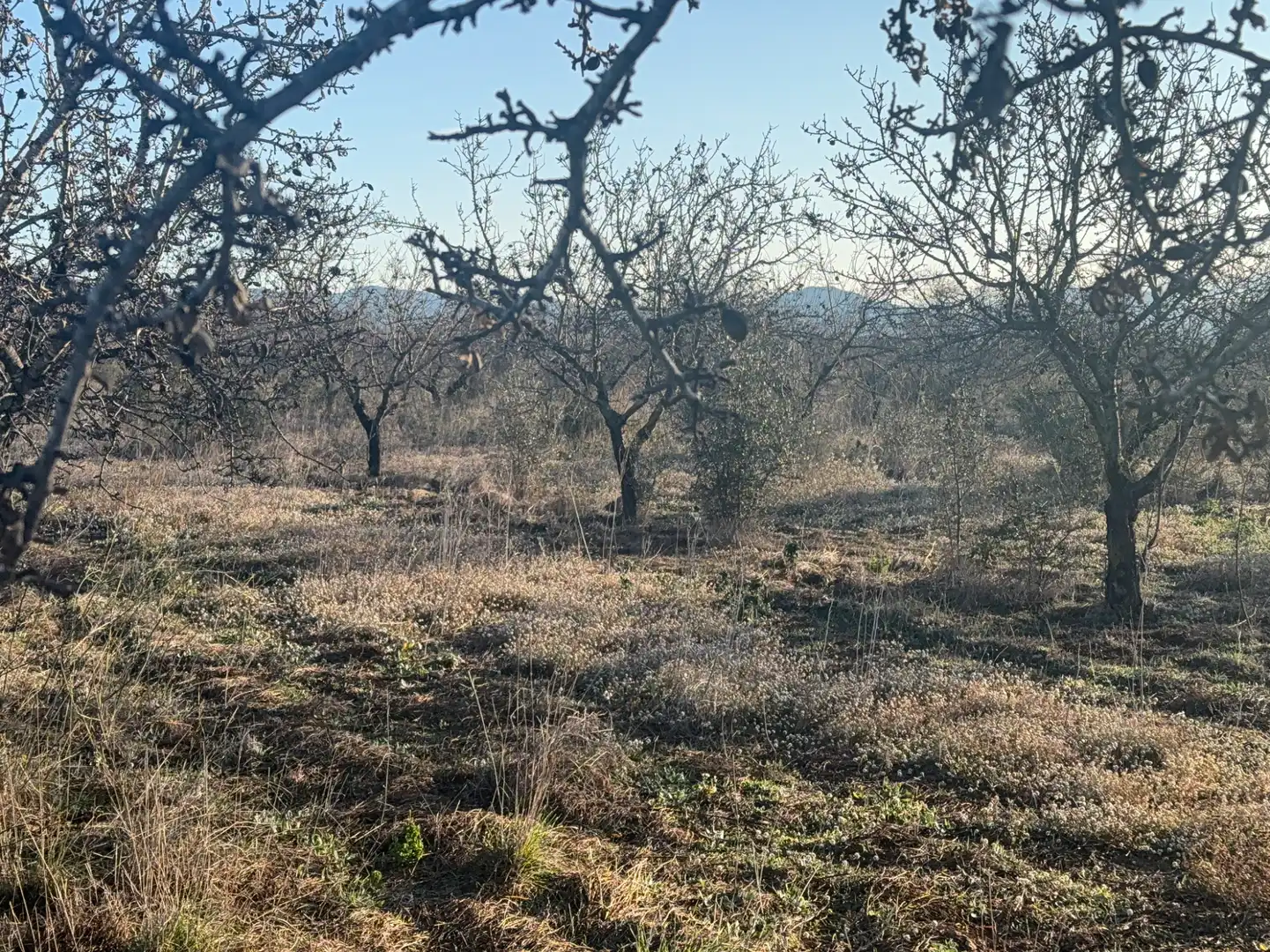 Terrain rustique à vendre à Carrer dels Teixidors, imagen 19