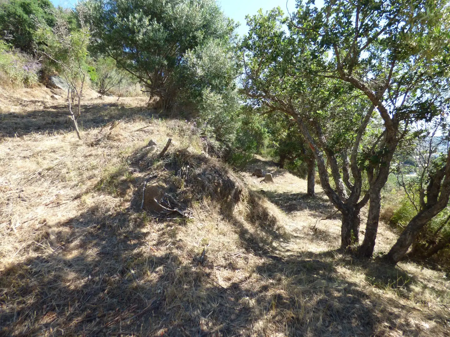 Terreno residencial en venta en Siena, imagen 7