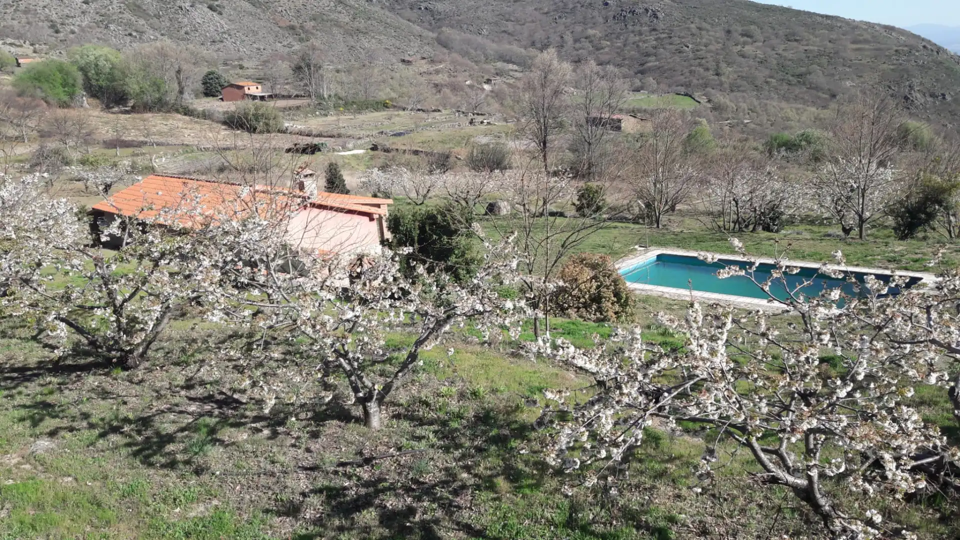 Swimming pool of Country homes for sale in Guijo de Santa Bárbara