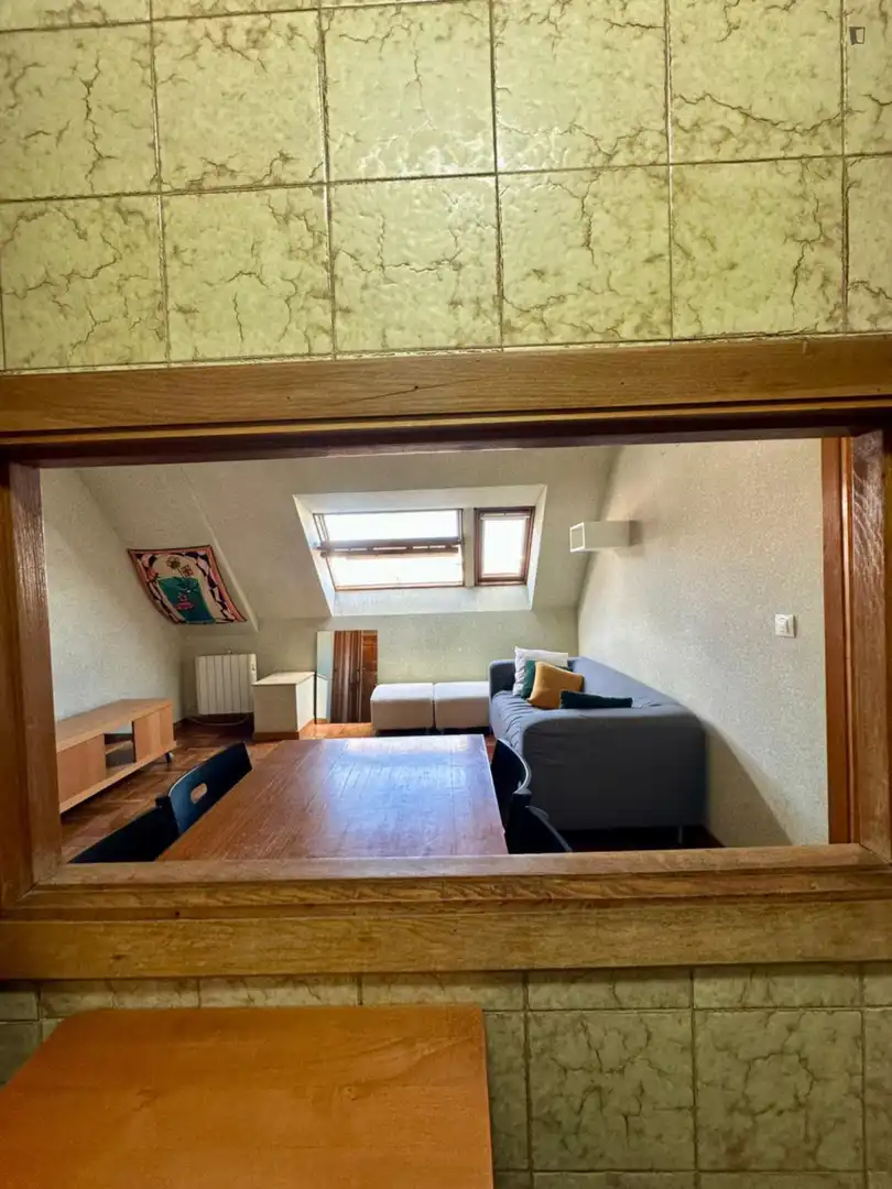 Sala d'estar de Apartament de lloguer en Madrid amb Calefacció, Moblat i Forn