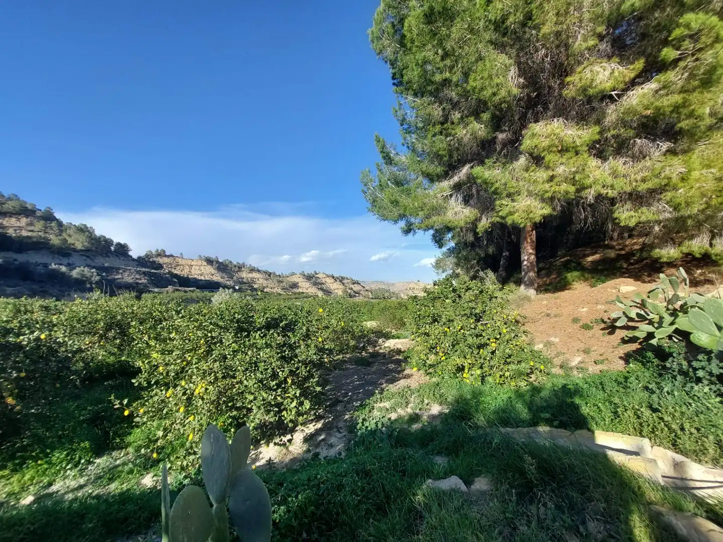 Terrenys i solars en venda a Camino Camino Cañada Umbría, imagen 10