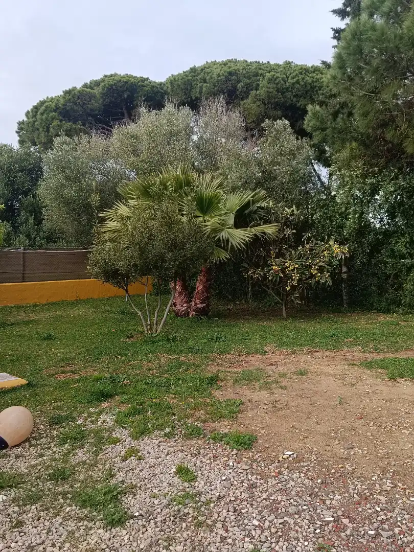 Casa rústica con jardín en venta en Zahora, imagen 37