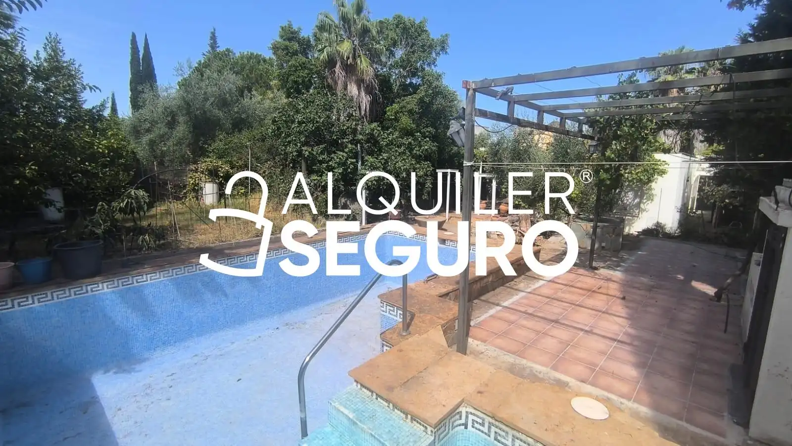 Vista exterior de Casa o chalet de alquiler en Almensilla con Trastero, Piscina y Amueblado