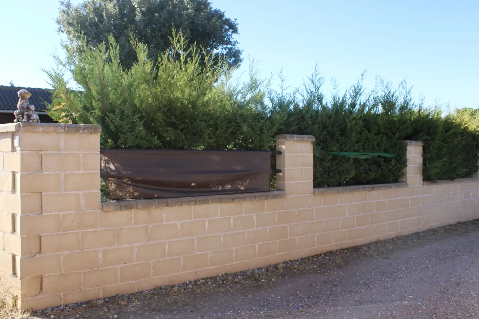 Jardín de Finca rústica en venta en Pitiegua con Aire acondicionado, Jardín privado y Amueblado