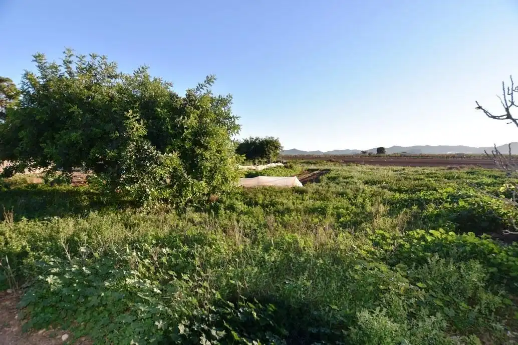 Finca rústica en venta en Fuente Álamo de Murcia con Jardín privado, Terraza y Trastero