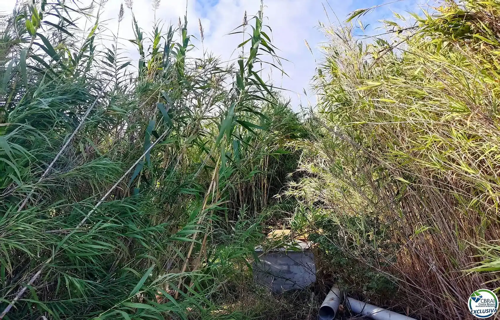 Residential land for sale in Carretera Vilamacolum 0, imagen 2