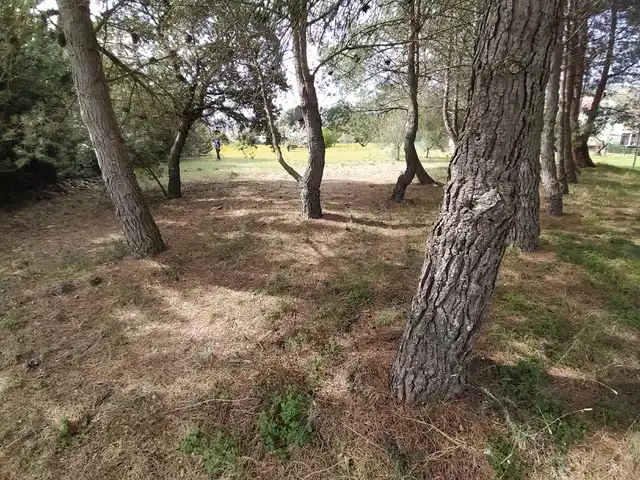 Rustikales Grundstück zum Verkauf in Nalda, imagen 5