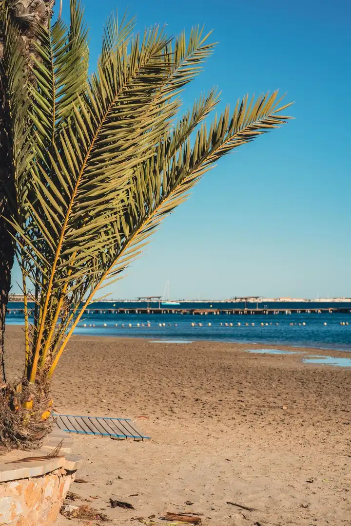 Baixos amb piscina en venda a San Pedro del Pinatar, imagen 15