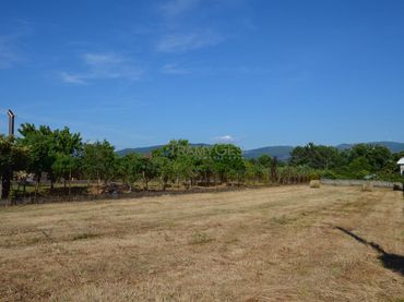 Terreno residenziale in vendita a LUGAR O CRUCEIRO
