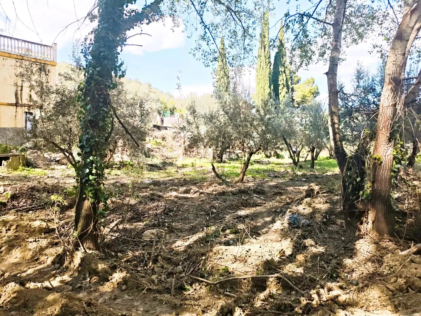 Grundstücke zum Verkauf in Jaén