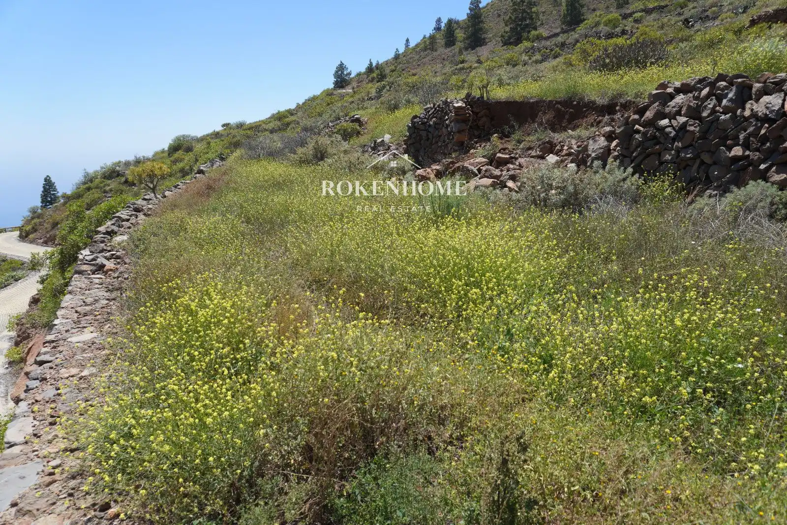 Terreno en venta en Guía de Isora