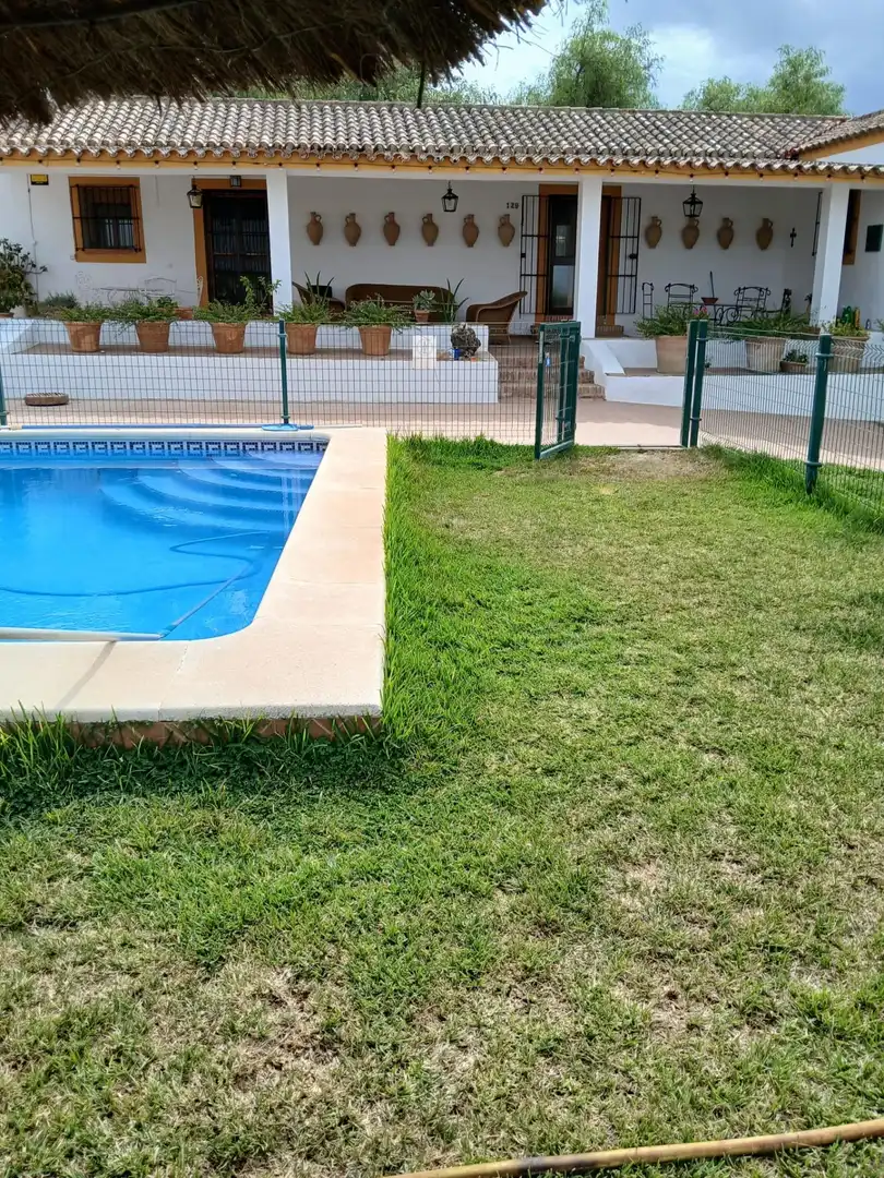 Piscina de Finca rústica en venda en Arcos de la Frontera amb Jardí privat i Piscina comunitària