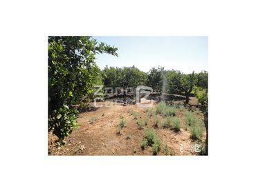 Maison rustique à vendre à Urbanitzacions i Pedanies Nord