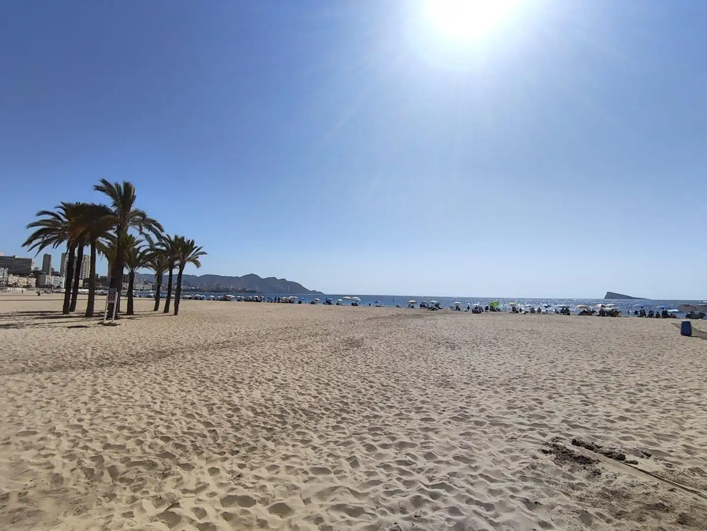 Gewerbefläche zum Verkauf in Avenida VICENTE LLORCA ALOS, imagen 46