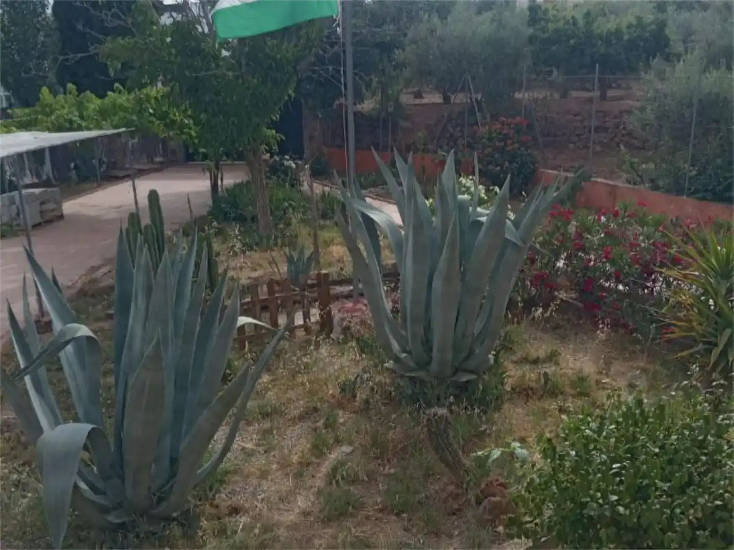 Garden of Flat for sale in Fondón  with Private garden, Storage room and Furnished