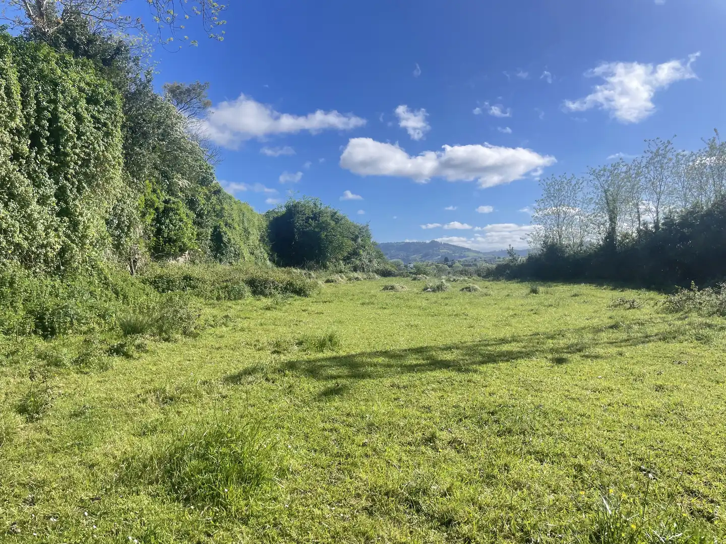 Terreno residenziale in vendita a Rural, imagen 5