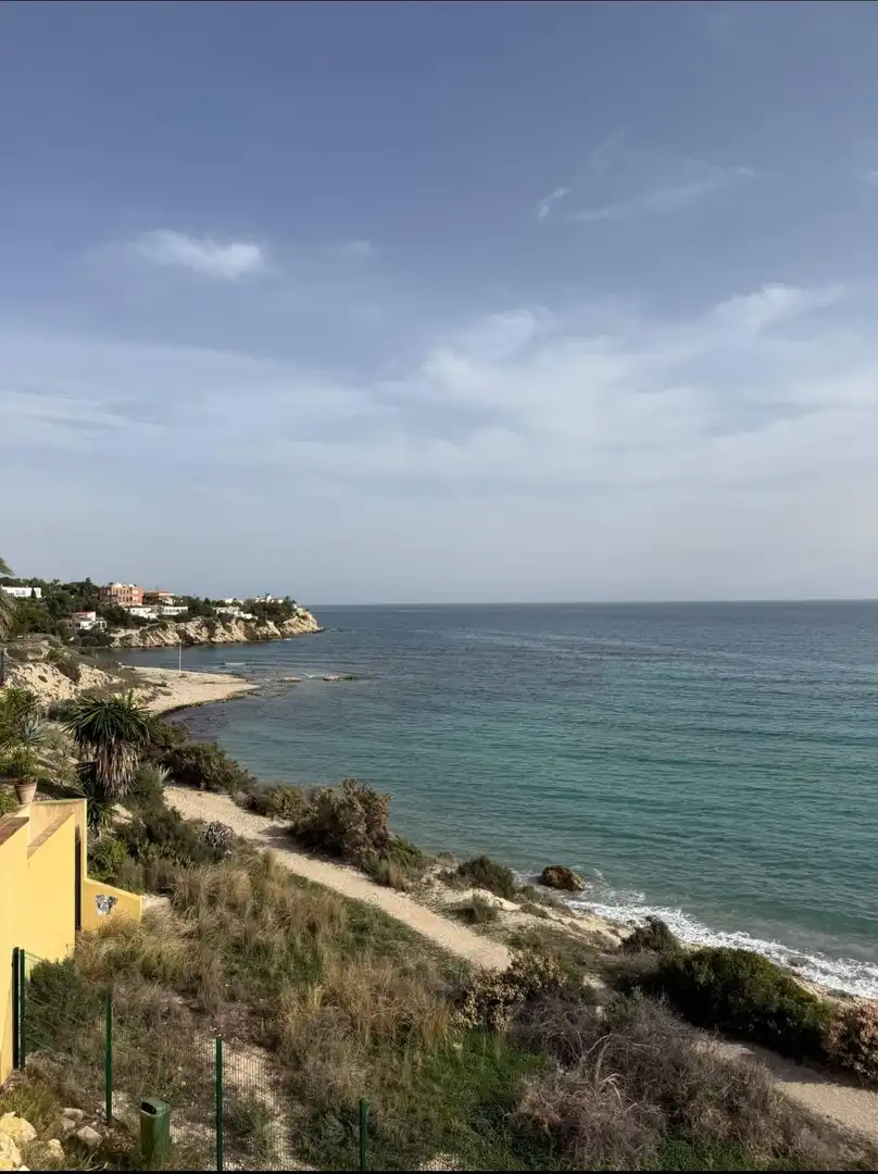 Detached homes for rent in Calle Dentol, Pueblo Español - Coveta Fumá