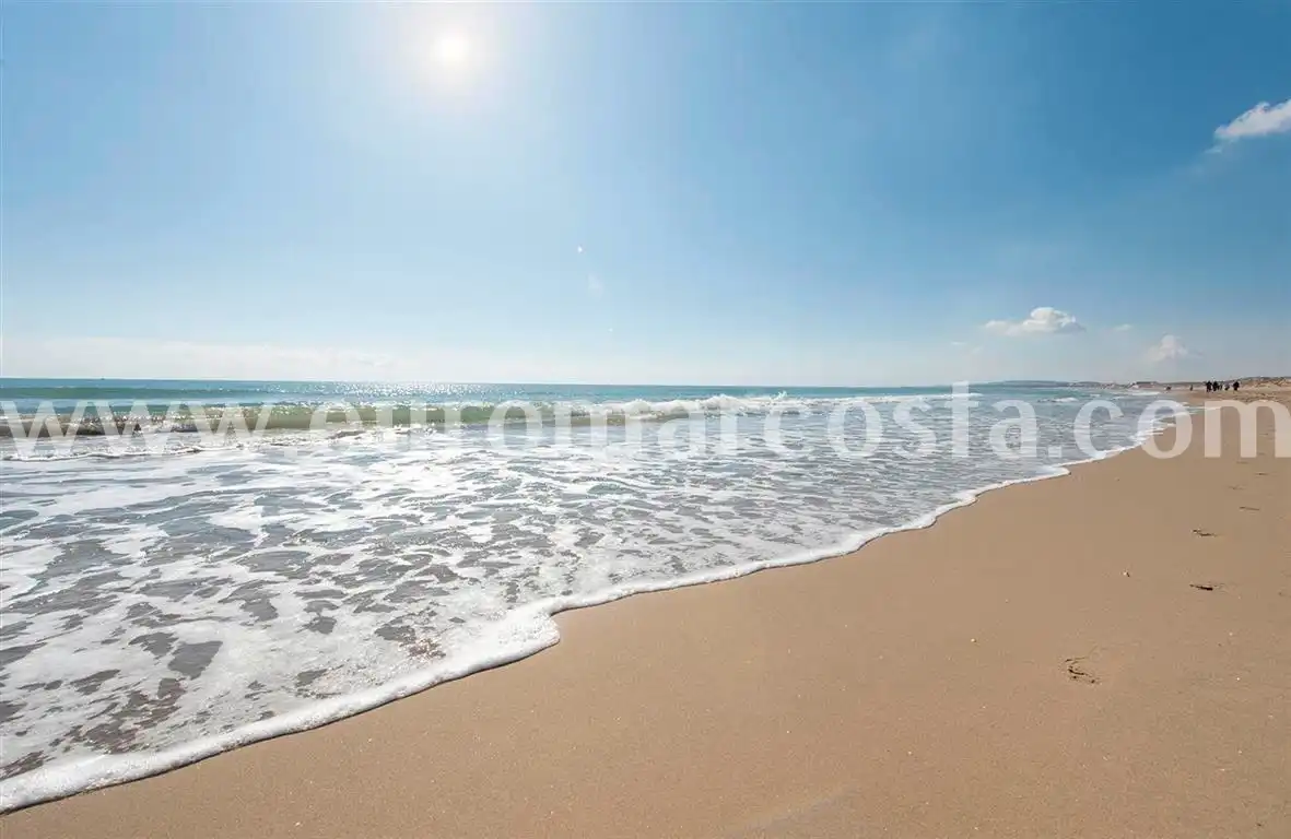 Exterior view of Country homes for sale in Elche / Elx  with Private garden and Furnished