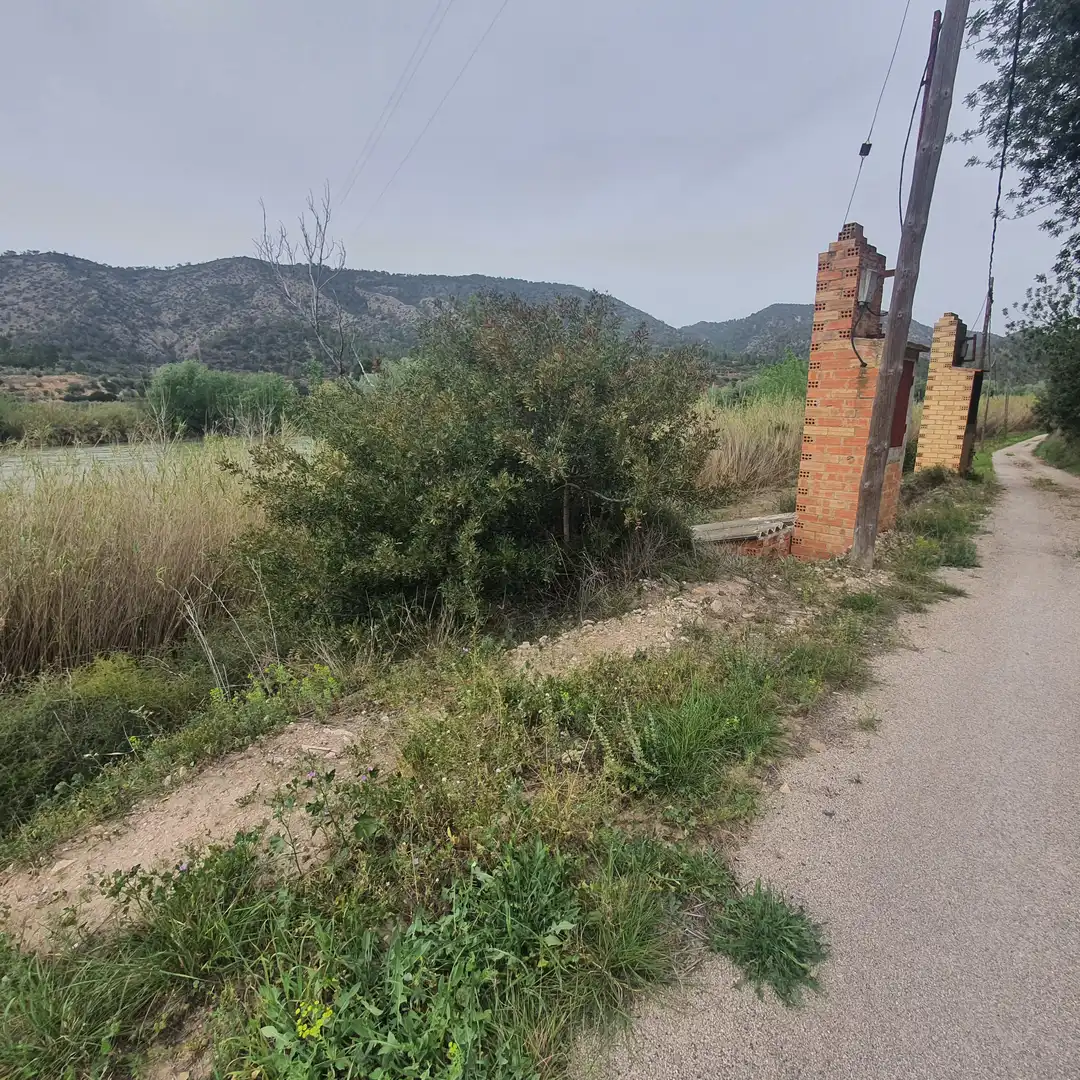 Terreno rústico en venta en Benifallet, imagen 5