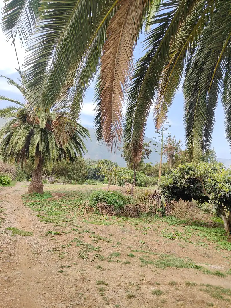 Maison rustique avec piscine à vendre à Carretera las Llanadas, imagen 41