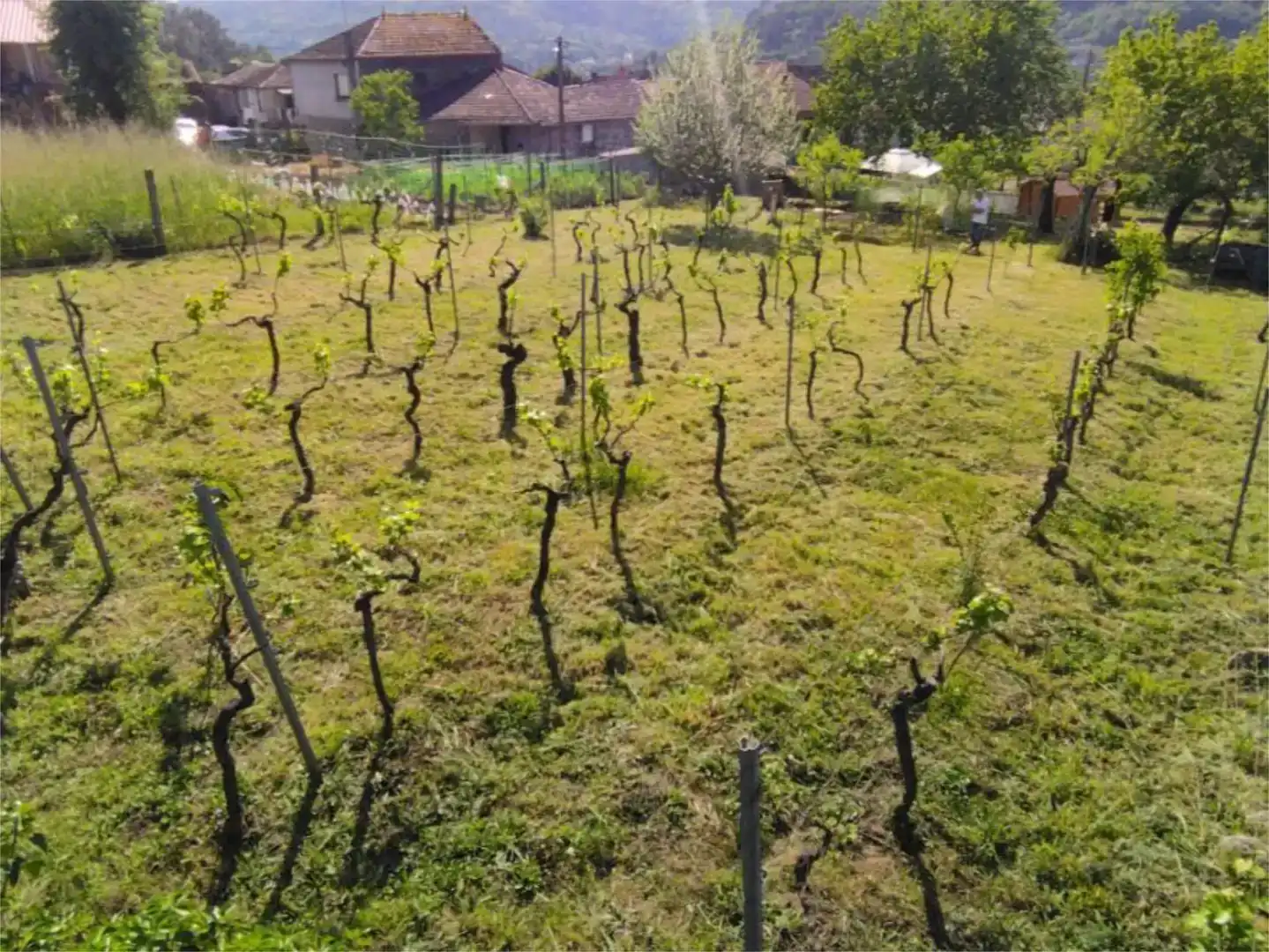 Casa adosada en venda en Leiro amb Jardí privat, Traster i Moblat