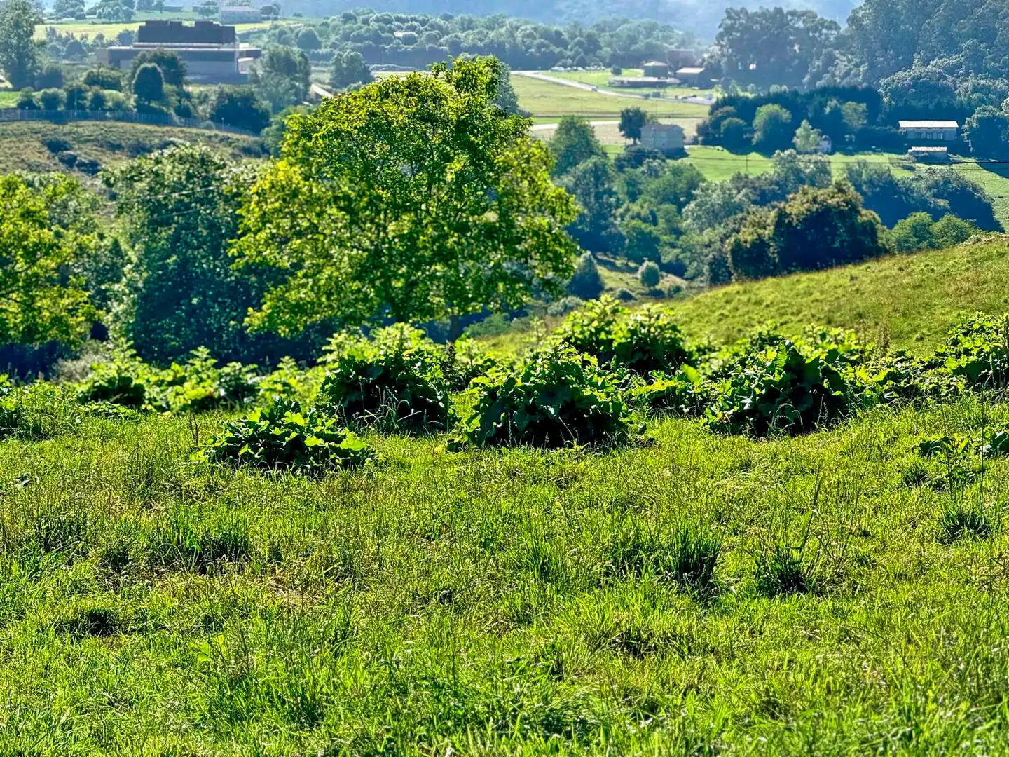 Terreno en venta en Medio Cudeyo