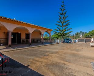 Vista exterior de Finca rústica en venda en Ayamonte amb Jardí privat, Moblat i Forn