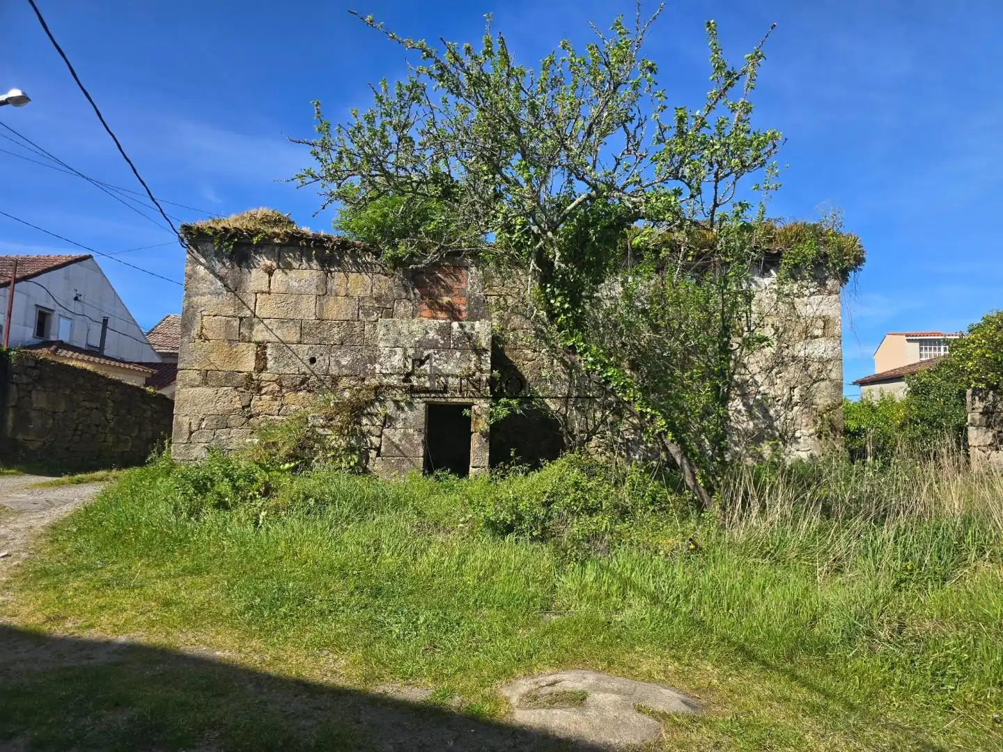 Vista exterior de Casa o chalet en venta en Pontevedra Capital  con Jardín privado