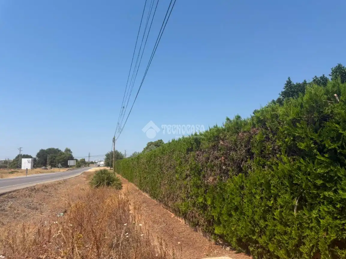 Terreni e lotti in vendita a Pedanías Norte, imagen 4