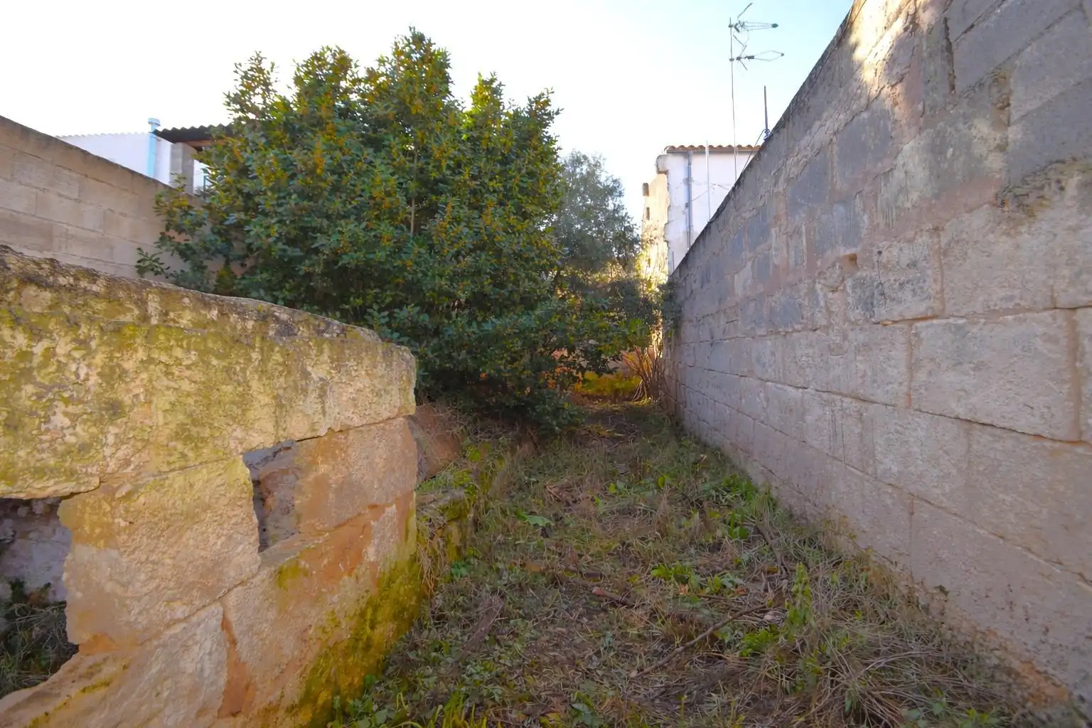 Maison avec jardin à vendre à Calle PARE ALZINA, imagen 12