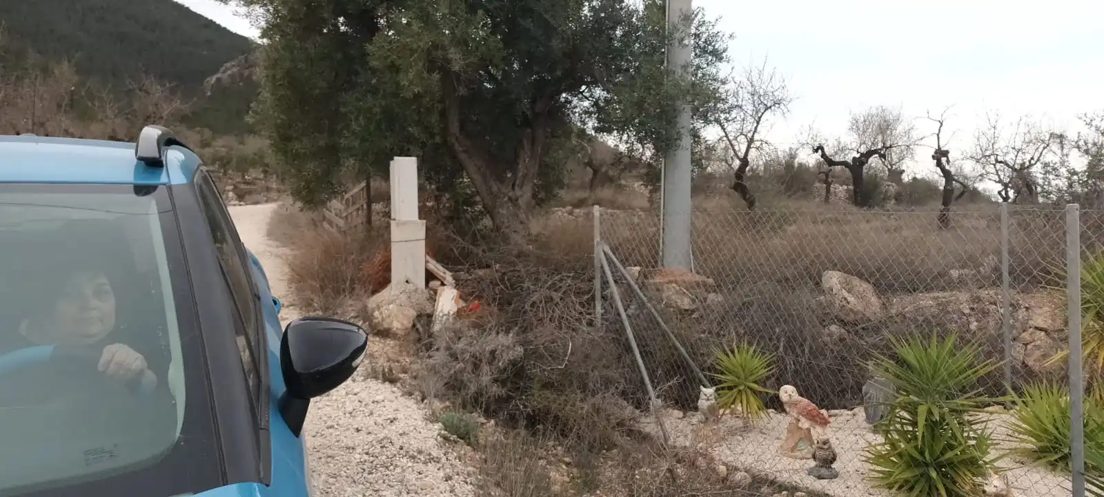 Terreno rustico in vendita a Calle Hondon de las Nieves, imagen 3