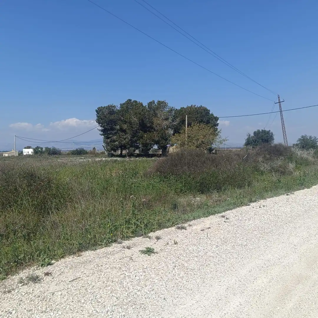 Terrain rustique à vendre à La Marina, imagen 7