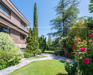 Jardí de Casa o xalet en venda en Fuente del Fresno amb Aire condicionat i Piscina