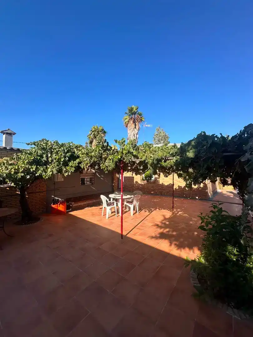 Terrace of Country homes for rent in Punta Umbría, Huelva