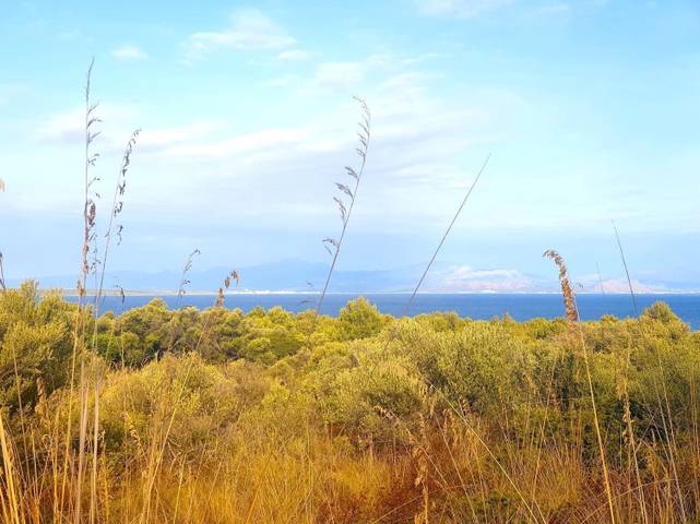 Terreno residencial en Venta en Betlem