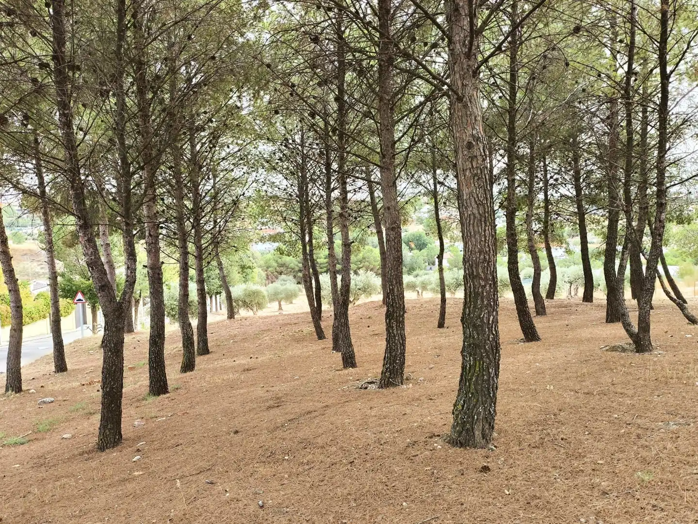 Terreno residencial en venta en Colmenar de Oreja, imagen 7
