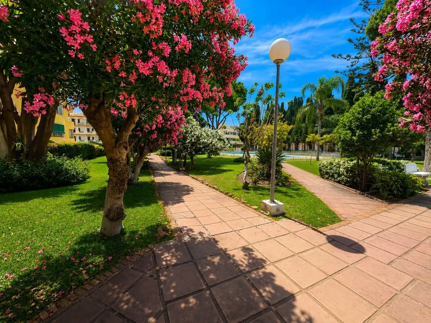 Apartamento con terraza en alquiler en La Carihuela - Los Nidos, imagen 19